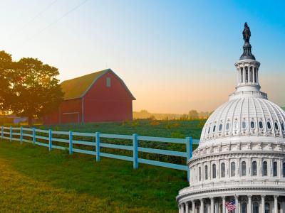 reduction act