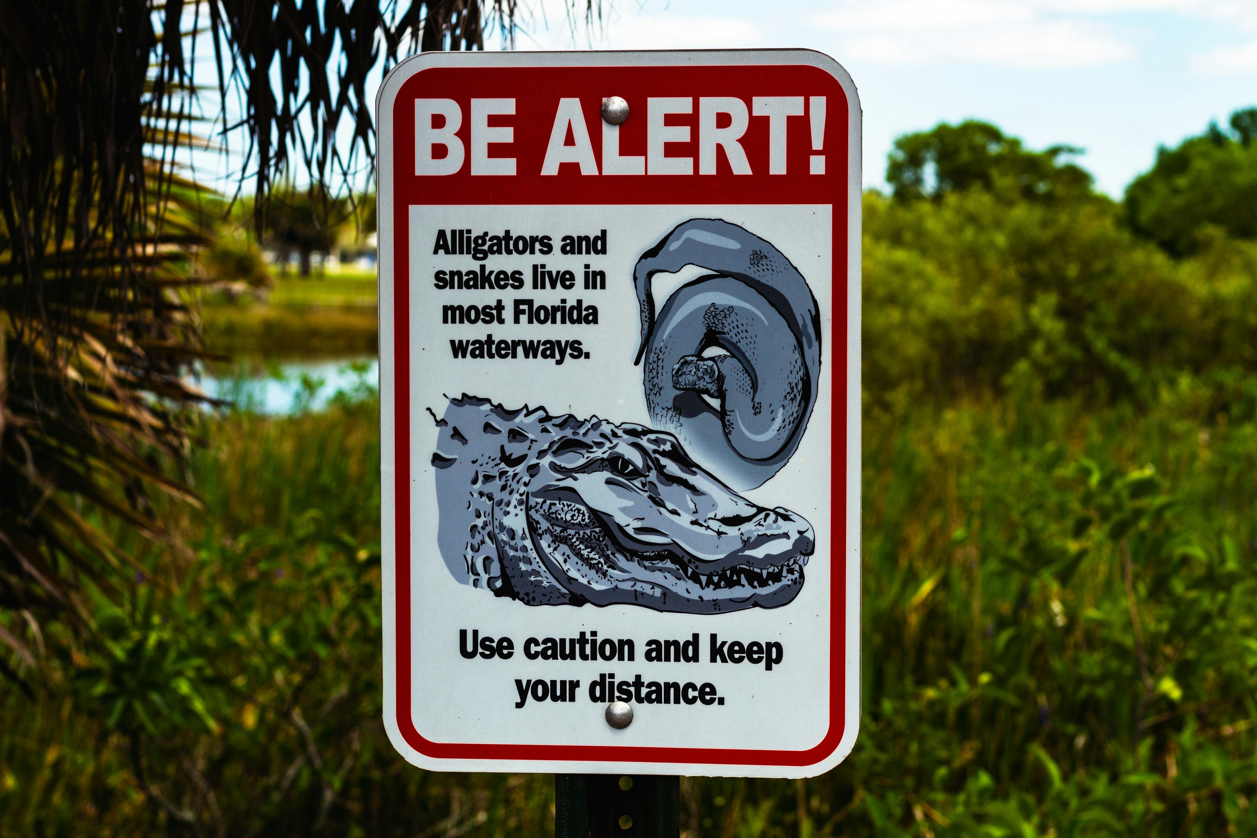 be alert