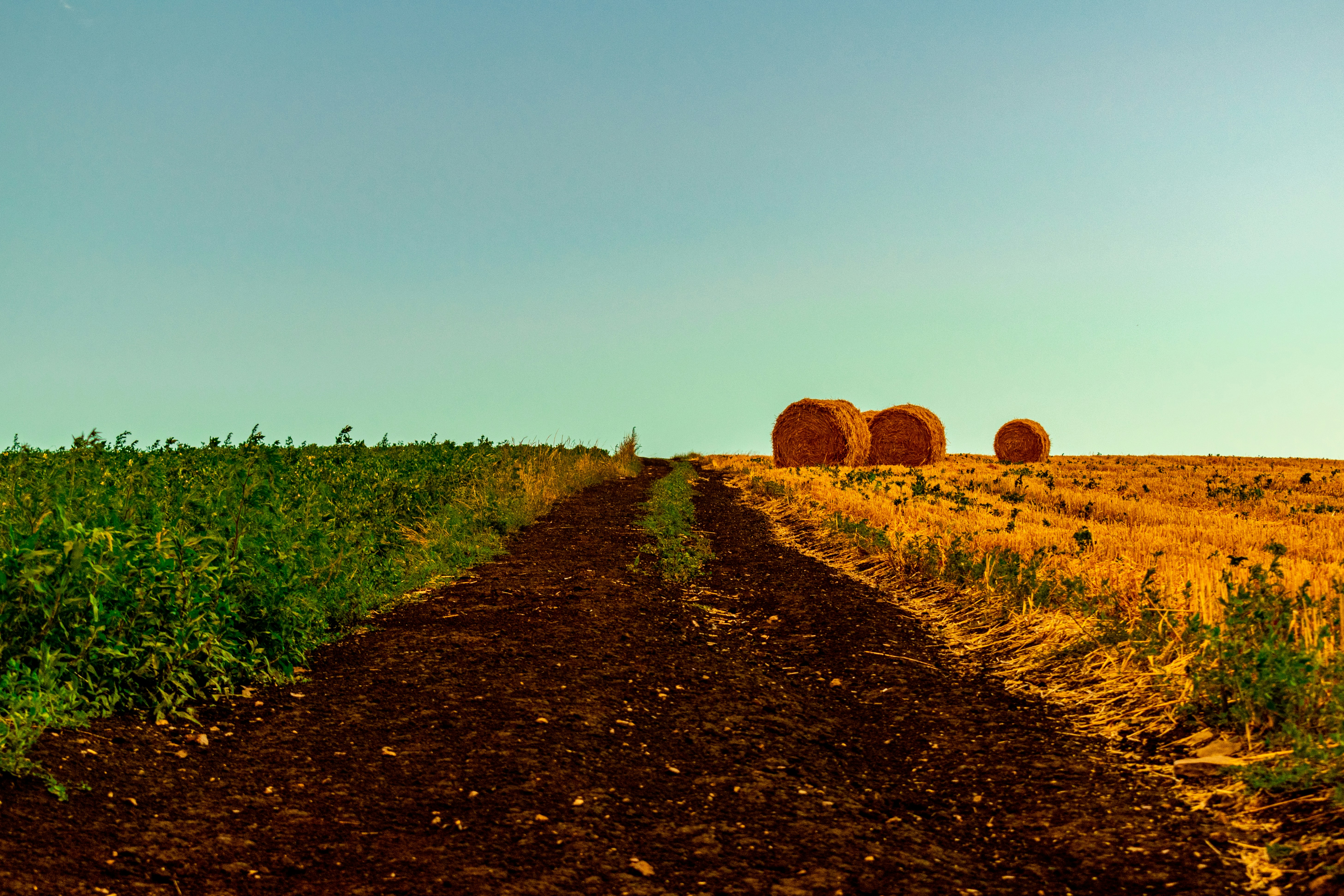 Agriculture Ideas