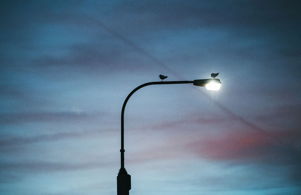 street light