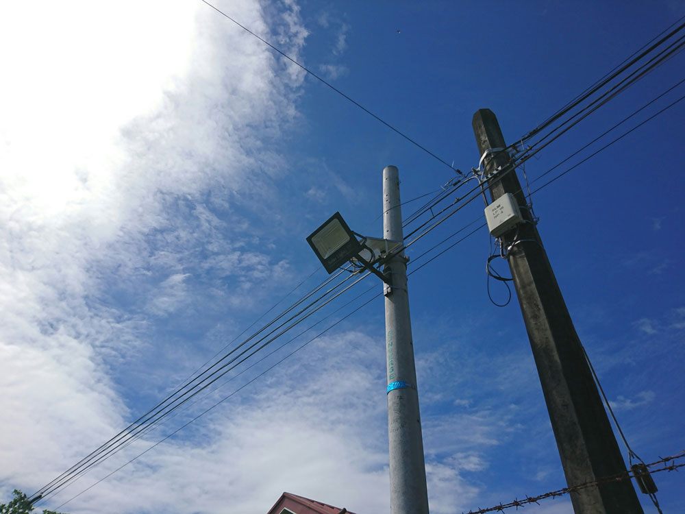 pole inspection