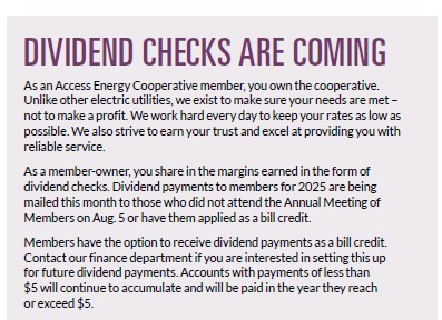 dividends