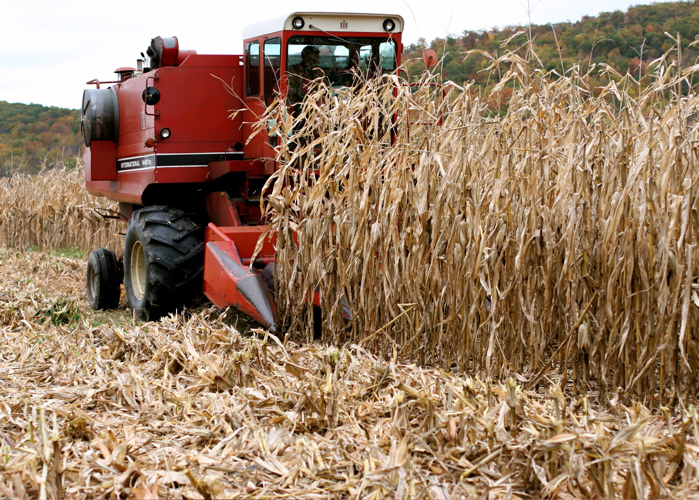 safe harvest