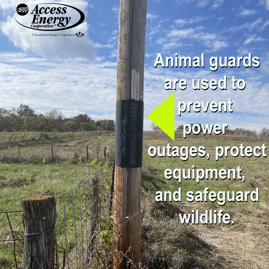 animal guard on pole