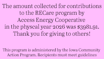 recare annual report