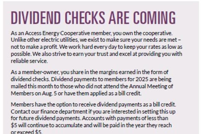 dividends