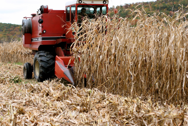 safe harvest