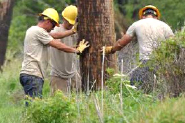 cooperatives
