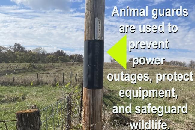 animal guard on pole